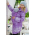 Babywearing Coat 3 in 1 (high-warm), Lavanda