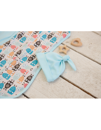 Swaddle Pods Set, Owl Laguna